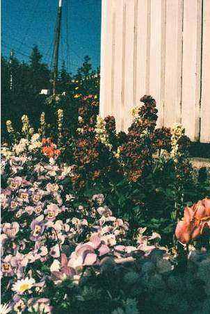 Bouquet Beispiel