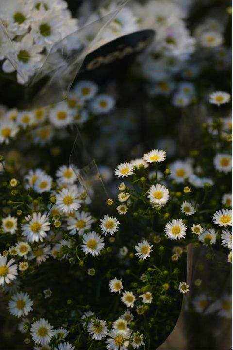 Bouquet Beispiel