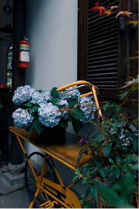Bouquet 1