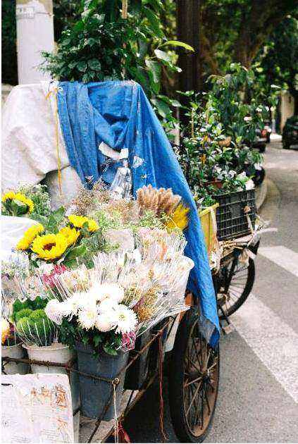 Nachhaltige Blumen