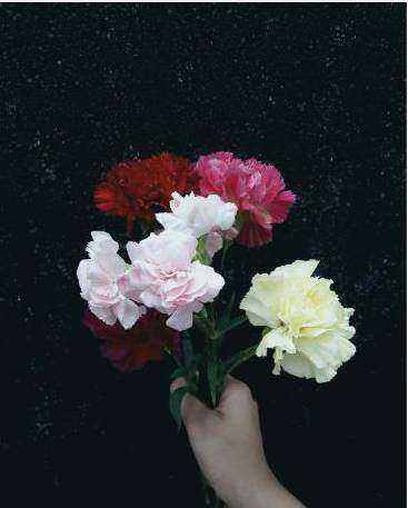 Saisonale Blumen